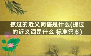 掠过的近义词语是什么(掠过的近义词是什么 标准答案)